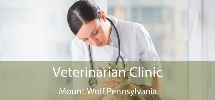Veterinarian Clinic Mount Wolf Pennsylvania
