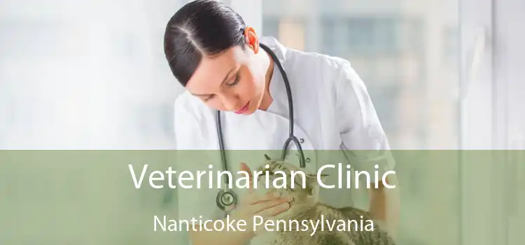 Veterinarian Clinic Nanticoke Pennsylvania