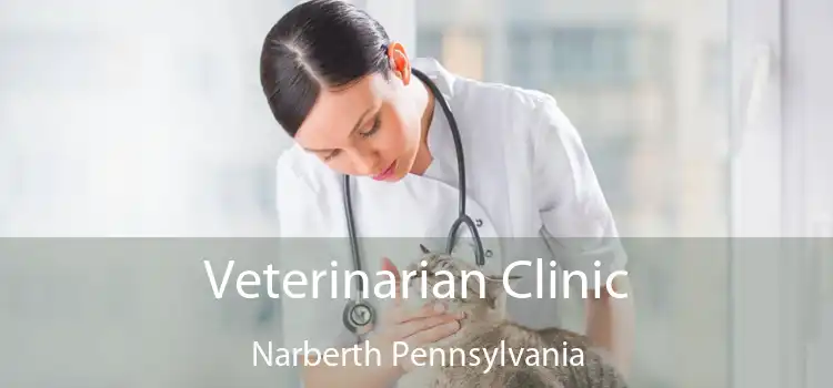 Veterinarian Clinic Narberth Pennsylvania
