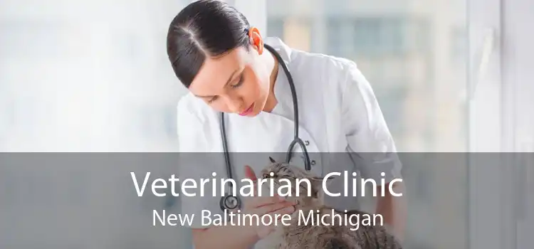 Veterinarian Clinic New Baltimore Michigan