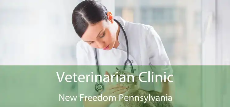 Veterinarian Clinic New Freedom Pennsylvania