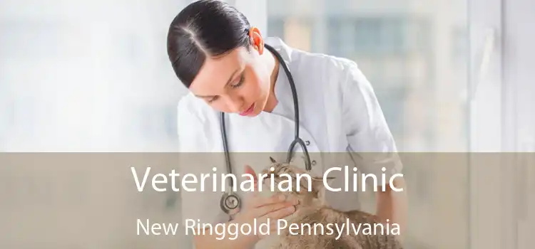 Veterinarian Clinic New Ringgold Pennsylvania