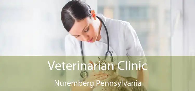 Veterinarian Clinic Nuremberg Pennsylvania