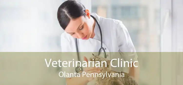 Veterinarian Clinic Olanta Pennsylvania