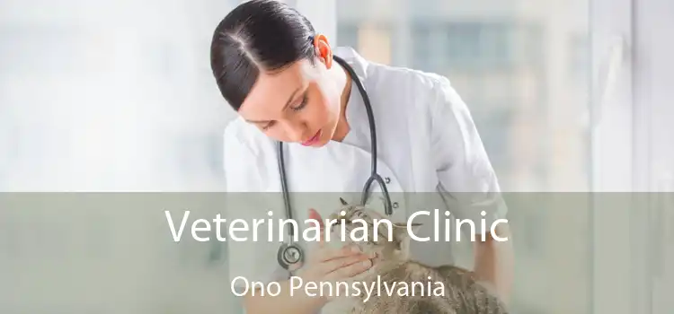Veterinarian Clinic Ono Pennsylvania
