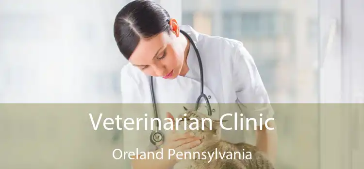 Veterinarian Clinic Oreland Pennsylvania