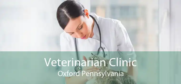 Veterinarian Clinic Oxford Pennsylvania