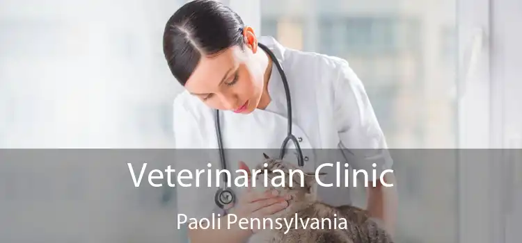 Veterinarian Clinic Paoli Pennsylvania