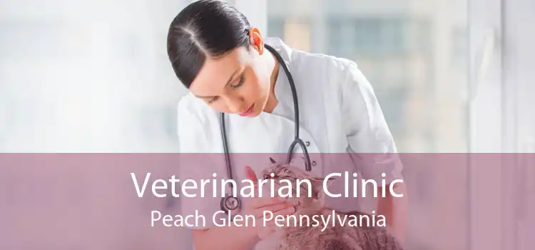 Veterinarian Clinic Peach Glen Pennsylvania