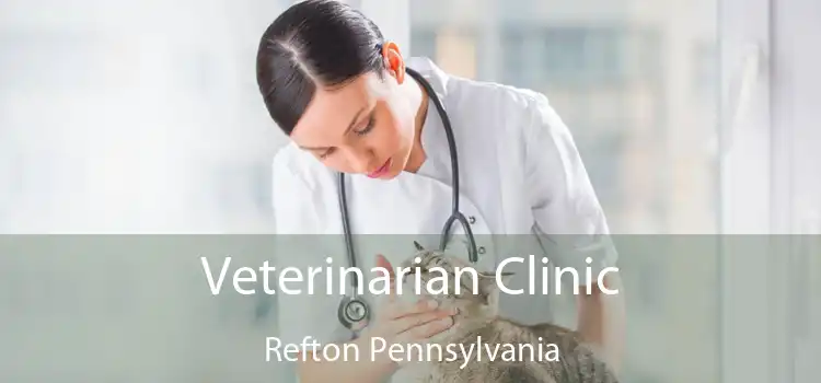 Veterinarian Clinic Refton Pennsylvania