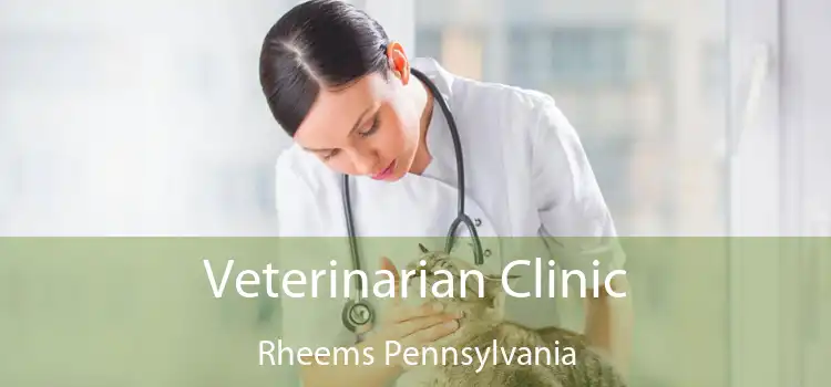 Veterinarian Clinic Rheems Pennsylvania