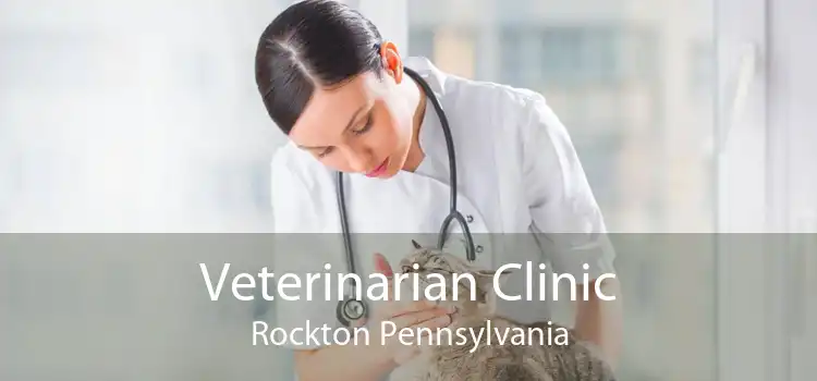 Veterinarian Clinic Rockton Pennsylvania