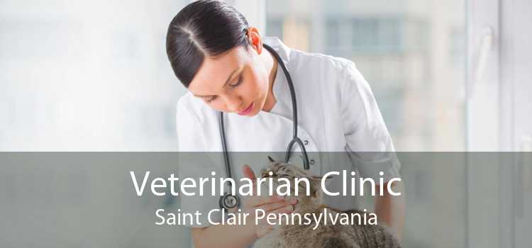 Veterinarian Clinic Saint Clair Pennsylvania