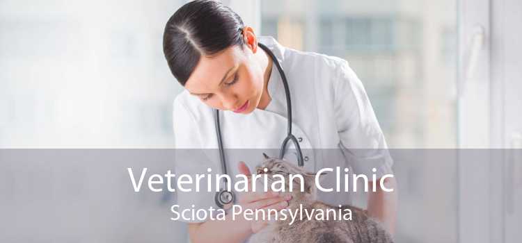 Veterinarian Clinic Sciota Pennsylvania