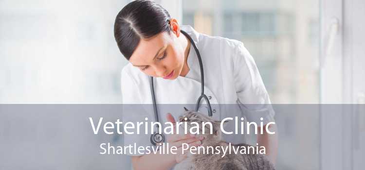 Veterinarian Clinic Shartlesville Pennsylvania