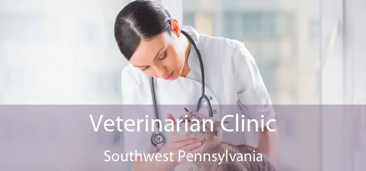 Veterinarian Clinic Southwest Pennsylvania