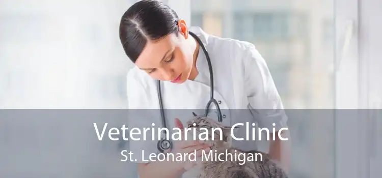 Veterinarian Clinic St. Leonard Michigan