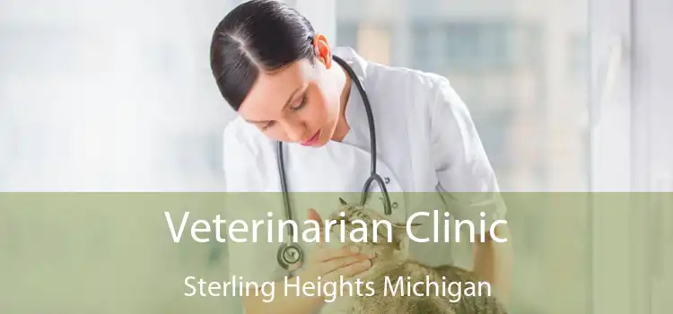 Veterinarian Clinic Sterling Heights Michigan