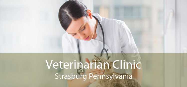 Veterinarian Clinic Strasburg Pennsylvania