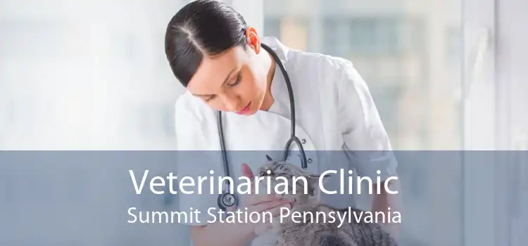 Veterinarian Clinic Summit Station Pennsylvania