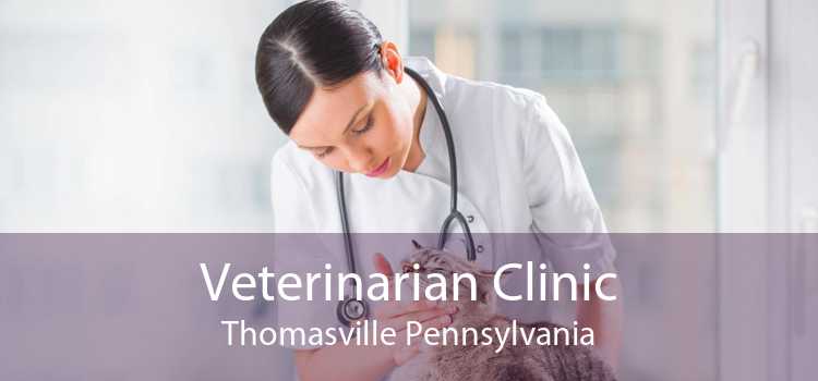 Veterinarian Clinic Thomasville Pennsylvania