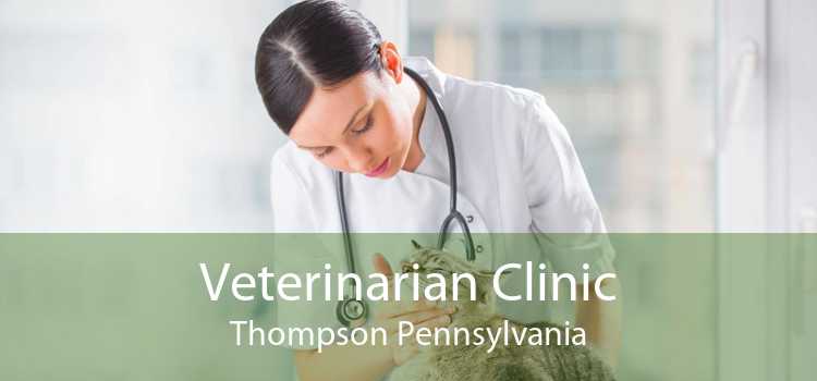 Veterinarian Clinic Thompson Pennsylvania