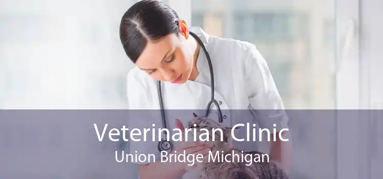Veterinarian Clinic Union Bridge Michigan