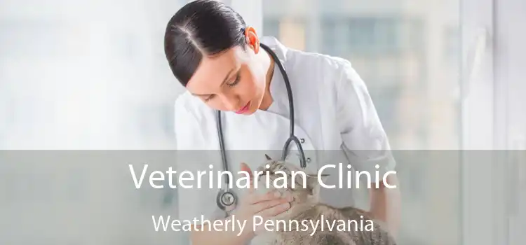 Veterinarian Clinic Weatherly Pennsylvania