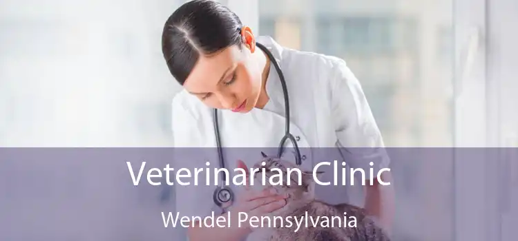 Veterinarian Clinic Wendel Pennsylvania