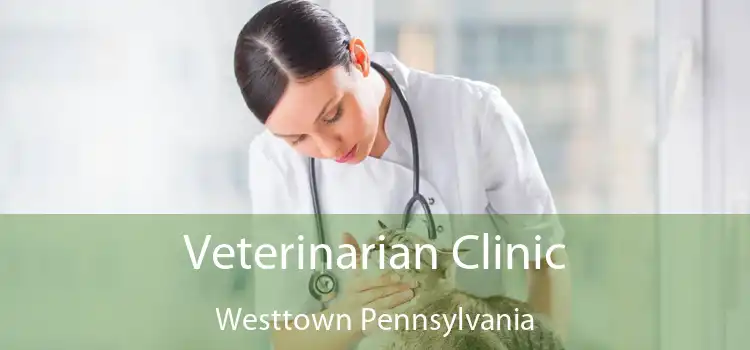 Veterinarian Clinic Westtown Pennsylvania