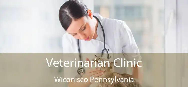 Veterinarian Clinic Wiconisco Pennsylvania