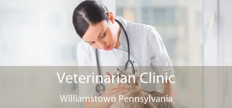 Veterinarian Clinic Williamstown Pennsylvania