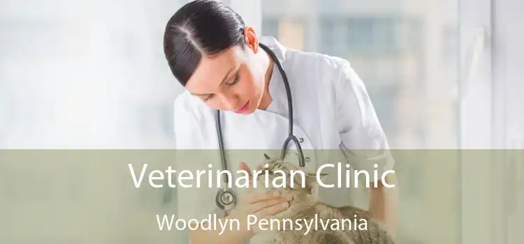 Veterinarian Clinic Woodlyn Pennsylvania