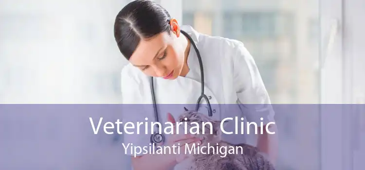 Veterinarian Clinic Yipsilanti Michigan