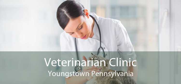 Veterinarian Clinic Youngstown Pennsylvania