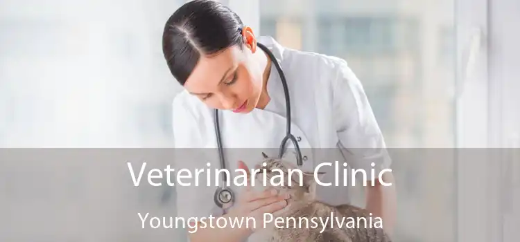 Veterinarian Clinic Youngstown Pennsylvania